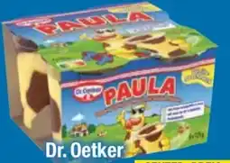 E-Center Dr. Oetker Paula Pudding Angebot
