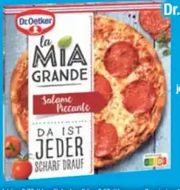 E-Center Dr. Oetker Ristorante Pizza Angebot