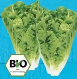 E-Center Bio Mini Romanasalat Angebot