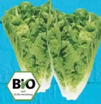 E-Center Bio Mini Romanasalat Angebot