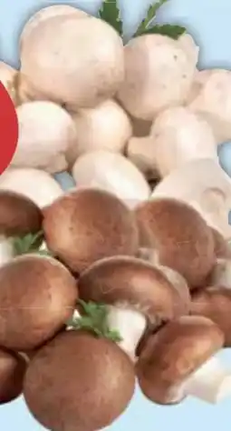 E-Center Champignons Angebot