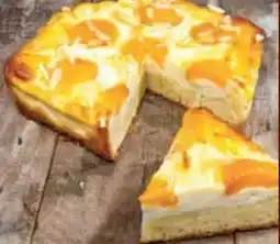 E-Center Backstube Wünsche Aprikosen-Quark Kuchen Angebot