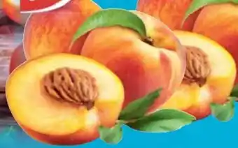 E-Center Gut & Günstig Nektarinen Angebot