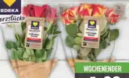 E-Center Lieblingsrosen Angebot