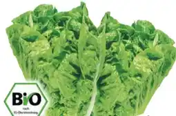 Edeka Bio Mini Romanasalat Angebot