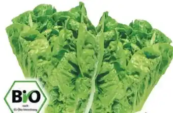 Edeka Bio Mini Romanasalat Angebot