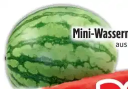 Edeka Bio-Mini-Wassermelone Angebot