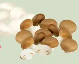 Edeka Xpress Champignons Angebot