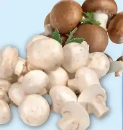 Edeka Champignons Angebot