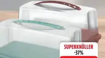 Edeka Rotho Kuchenbehälter Fresh Angebot