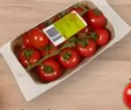 tegut tegut... Cocktailstrauchtomaten Angebot