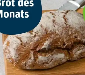 tegut Herzberger Bäckerei Bio-Urkrüstchen Angebot