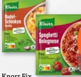 tegut Knorr Fix Spaghetti Bolognese Angebot