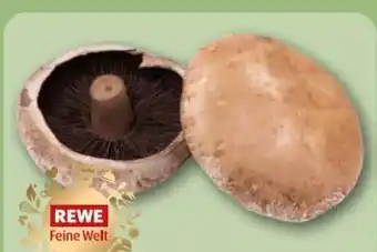 REWE Center Rewe Feine Welt Portobello Pilze Angebot
