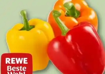 REWE Center Rewe Beste Wahl Paprika Mix Angebot