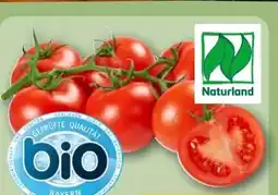 REWE Center Bio-Rispentomaten Angebot