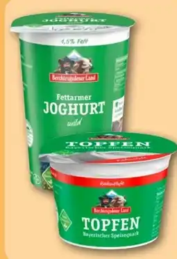 REWE Center Berchtesgadener Land Fettarmer Joghurt Angebot