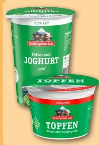 REWE Center Berchtesgadener Land Fettarmer Joghurt Angebot