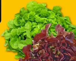 REWE Center Rewe Regional Salat Eichblatt Angebot