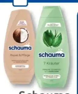 Budni Schwarzkopf Schauma Shampoo Angebot