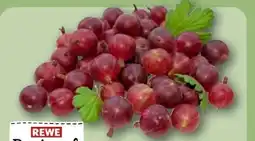 REWE Rewe Regional Stachelbeeren Angebot