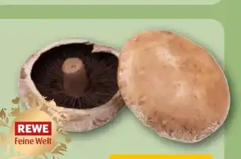 REWE Rewe Feine Welt Portobello Pilze Angebot