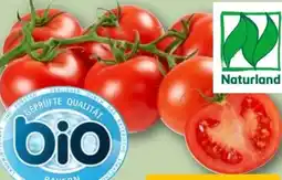 REWE Bio-Rispentomaten Angebot