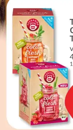 Budni Teekanne Bio cold & fresh Angebot