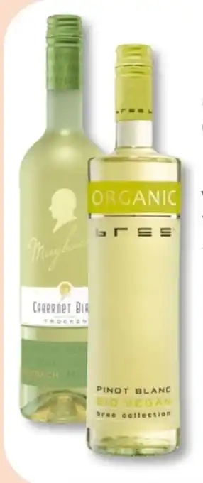 Budni Maybach Cabernet Blanc Angebot