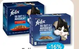 Budni Purina Felix Katzennahrung Angebot
