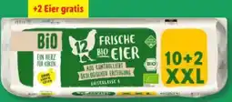 Lidl Bio Eier XXL Angebot