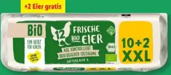 Lidl Bio Eier XXL Angebot