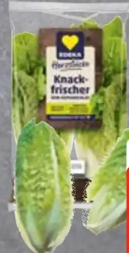 Edeka Frischemarkt Edeka Herzstücke Mini Romanasalat Angebot