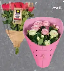 Edeka Edeka Herzstücke Topfrosen-Duo Dolce Amore Angebot