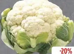 Edeka Blumenkohl Angebot