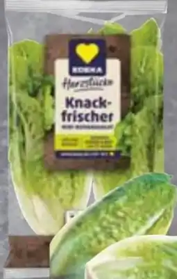 Edeka Edeka Herzstücke Mini Romanasalat Angebot