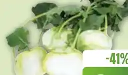 Edeka Bio-Kohlrabi Angebot