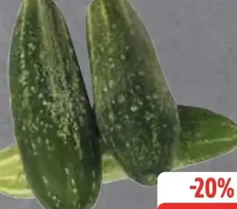Edeka Schmorgurken Angebot