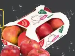 Edeka Gut & Günstig Tafeläpfel Jonagold Angebot