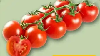 REWE Mini-Rispentomaten Angebot