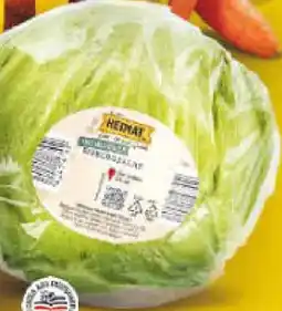 Netto Marken-Discount Heimat Eisbergsalat Angebot