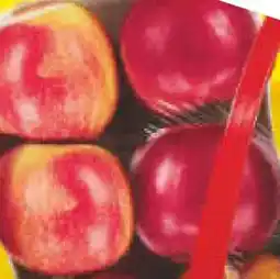 Netto Marken-Discount Äpfel Angebot