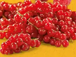 PENNY Marktliebe Regional Johannisbeeren Angebot