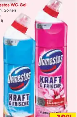 Netto Marken-Discount Domestos WC Gel Kraft & Frische Angebot
