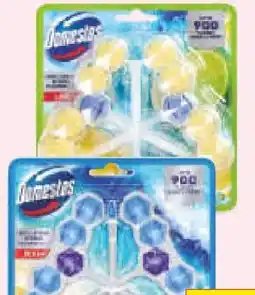 Netto Marken-Discount Domestos WC-Stein Angebot