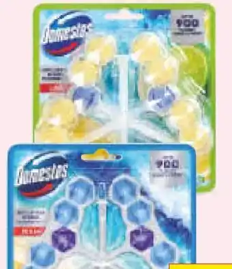 Netto Marken-Discount Domestos WC-Stein Angebot