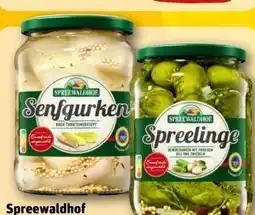 REWE Spreewaldhof Senfgurken Angebot