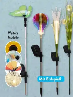 Aldi Süd Belavi LED-Solar-Gartenstecker Angebot