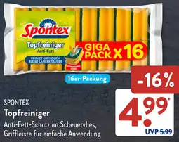 Aldi Süd SPONTEX Topfreiniger Angebot