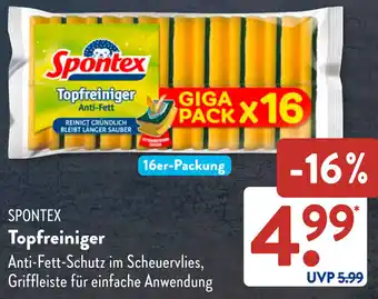 Aldi Süd SPONTEX Topfreiniger Angebot